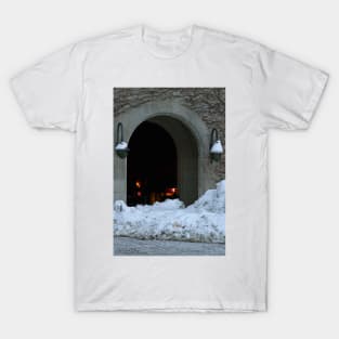 My Bulbs Are Frozen © T-Shirt